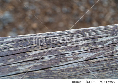 Old tree 70846609