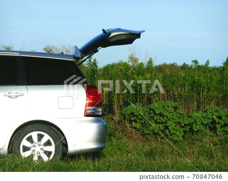 Car with open back door Car with open back door 70847046