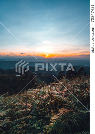 Sunset and mountains in the evening in the forest 70847481