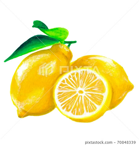 Real illustration of hand-painted lemon 70848339