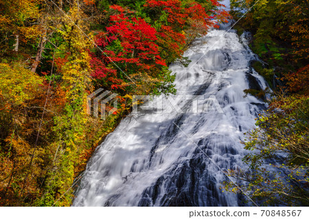 Autumn Nikko [Yutaki] 70848567