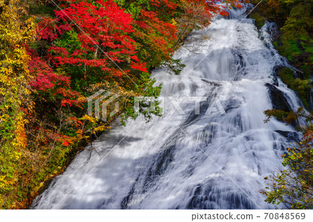 Autumn Nikko [Yutaki] 70848569