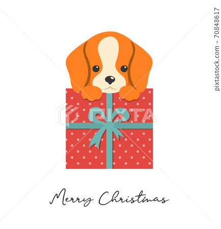 Merry Christmas puppy illustration, cute small dog with a gift box 70848617