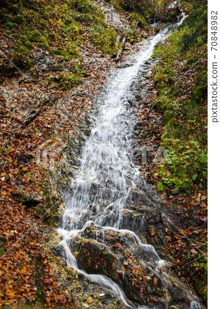 Rapid mountain stream among rocks and red leaves in autumn Rapid mountain stream among rocks and red leaves in autumn 70848982