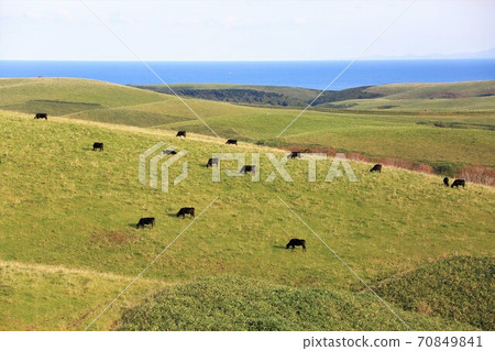 Soya Hills and Soya Beef (Wakkanai City, Hokkaido) 70849841