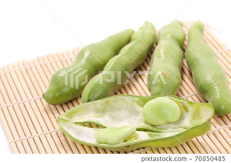 Broad beans with pods, raw when the pods are opened Broad beans with pods, raw when the pods are opened 70850485