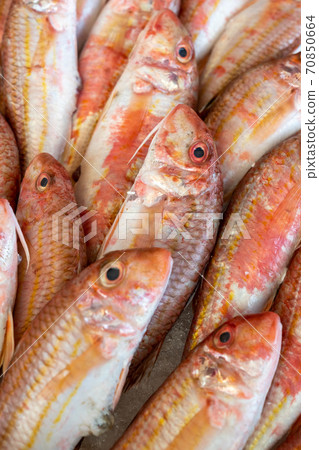 Red mullet stowed on ice at the seafood market Red mullet stowed on ice at the seafood market 70850664