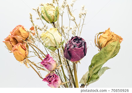 玫瑰乾花 70850926