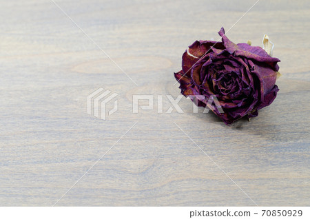 玫瑰乾花 玫瑰乾花 70850929