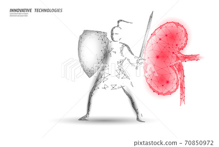 Low poly 3D human kidney shield protect. Medicine recovery technology drug medicine concept. Vector illustration 70850972