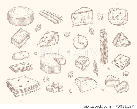 Drawn cheese. Gouda parmesan mozzarella delicious gourmet milk organic sliced products vector illustrations Drawn cheese. Gouda parmesan mozzarella delicious gourmet milk organic sliced products vector illustrations 70851157