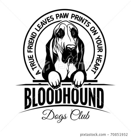 bloodhound dog clipart transparent