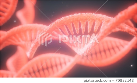 structure of the DNA double helix animation 70852148