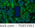 Smartphone phone in green leaves	 70853961
