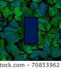 Smartphone phone in green leaves. square image	 70853962
