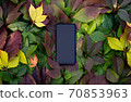Smartphone with blank screen mockup on colorful bright leaves background 70853963
