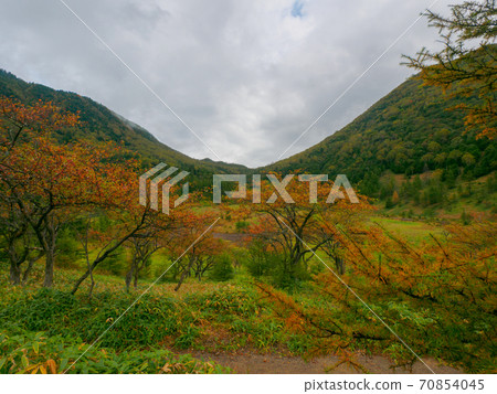 湯沼和秋葉在山上（奧木日光，ko木） 70854045