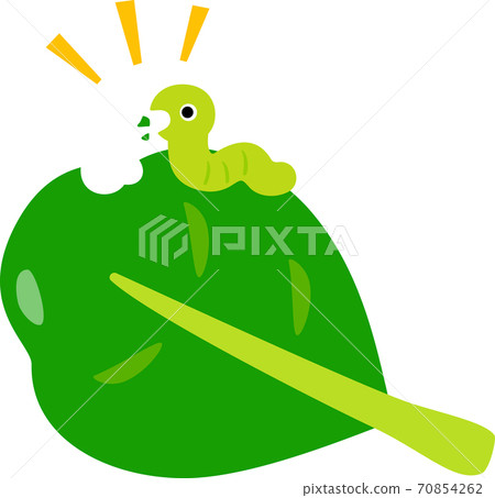 Green worms eating leafy vegetables 70854262