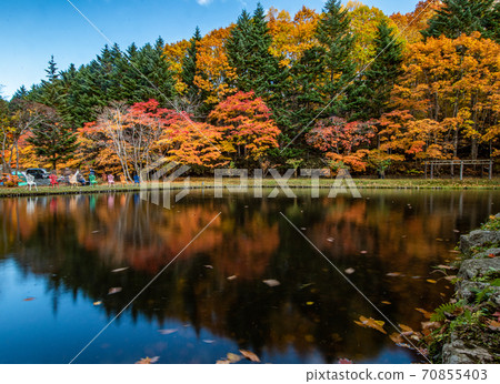 Autumn leaves in Kurenaisakura Park 70855403