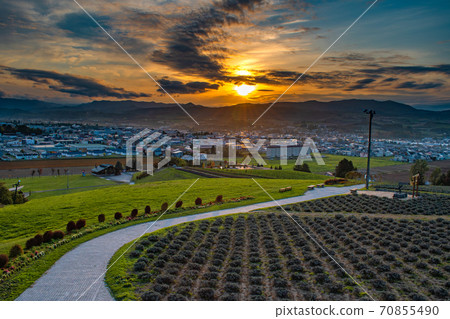 Sunset in Hinode Park 70855490