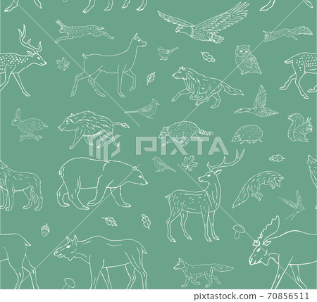 Vector seamless pattern of wild forest animals - Stock Illustration ...