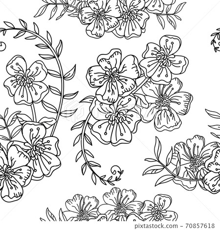 Seamless pattern vector contour flowers monochrome illustration 70857618