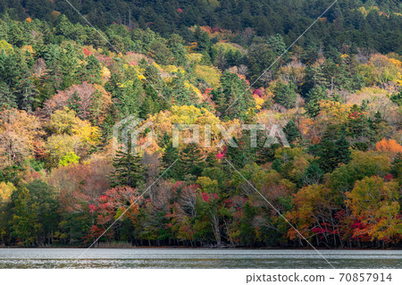 北海道Onneto湖的秋葉風光 北海道Onneto湖的秋葉風光 70857914