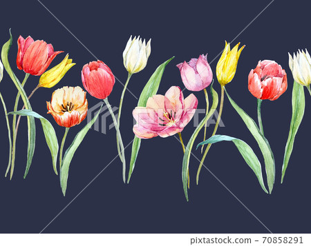 Beautiful horizontal seamless pattern with watercolor gentle blooming tulip flowers. Stock illustration. 70858291
