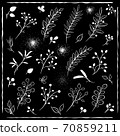 Set of vector silhouettes of plant elements. 70859211