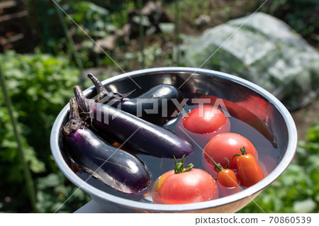 盛滿水的碗中冷藏的夏季收穫蔬菜（7月）家庭花園 70860539
