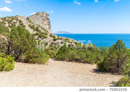 Summer Crimean landscape. Juniper grove Summer Crimean landscape. Juniper grove 70861038