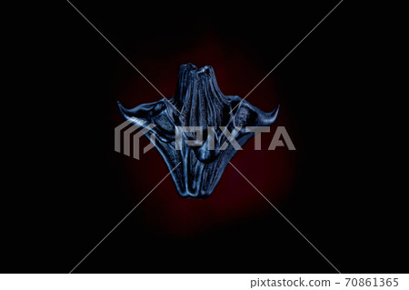 Evil and demonic beginning with horns on a dark background 70861365