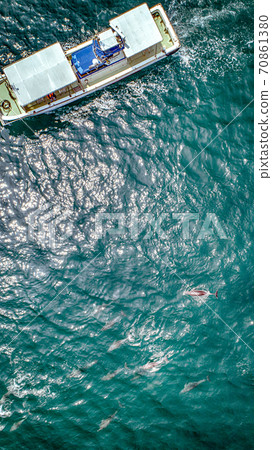 海豚觀賞天草菊之津 70861380