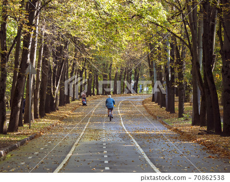 Bike ride along the magnificent autumn alley Bike ride along the magnificent autumn alley 70862538