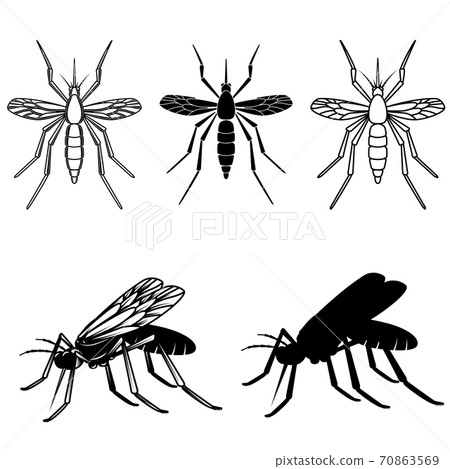 Set of mosquito illustrations. Design element for logo, label, emblem, sign. 70863569