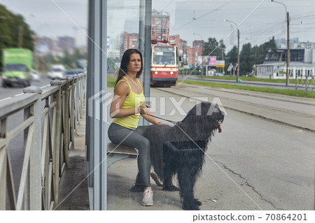 Lady with briard waits for tram on street. Lady with briard waits for tram on street. 70864201