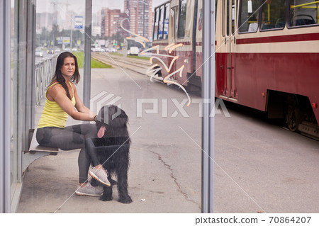 Briard and woman are waiting on tram stop. Briard and woman are waiting on tram stop. 70864207