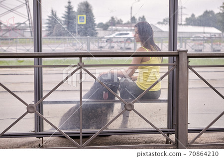 Woman with briard waits for public transport on bus stop. Woman with briard waits for public transport on bus stop. 70864210