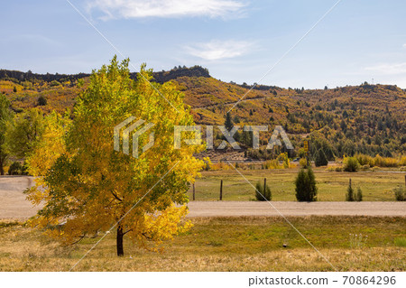 Beautiful sunny landscape around Bryce Zion Campground Beautiful sunny landscape around Bryce Zion Campground 70864296
