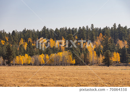 Beautiful sunny fall color of the Uinta Flat Designated Dispersed Camping Area Beautiful sunny fall color of the Uinta Flat Designated Dispersed Camping Area 70864338