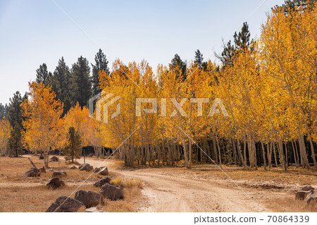 Beautiful sunny fall color of the Uinta Flat Designated Dispersed Camping Area Beautiful sunny fall color of the Uinta Flat Designated Dispersed Camping Area 70864339