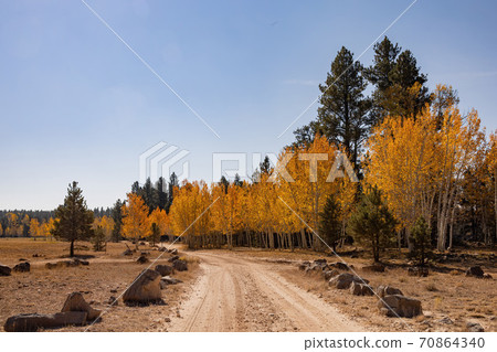 Beautiful sunny fall color of the Uinta Flat Designated Dispersed Camping Area 70864340