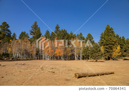 Beautiful sunny fall color of the Uinta Flat Designated Dispersed Camping Area Beautiful sunny fall color of the Uinta Flat Designated Dispersed Camping Area 70864341