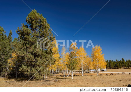 Beautiful sunny fall color of the Uinta Flat Designated Dispersed Camping Area Beautiful sunny fall color of the Uinta Flat Designated Dispersed Camping Area 70864346