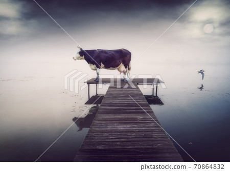 cow on the pier at the evening. Media mix illustration 70864832