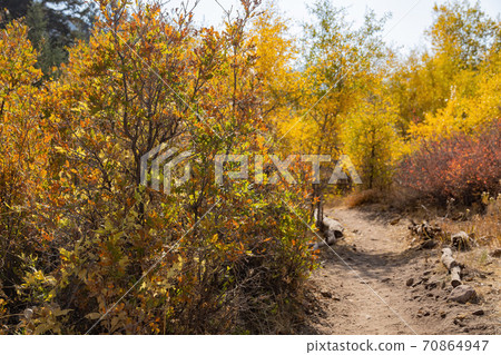 Sunny view of beautiful fall color around Parowan Canyon 70864947