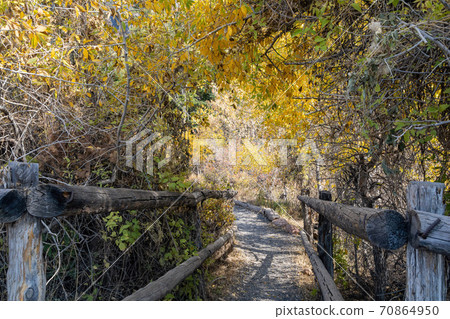 Sunny view of beautiful fall color around Parowan Canyon Sunny view of beautiful fall color around Parowan Canyon 70864950