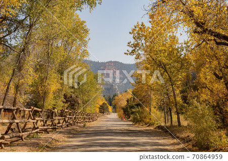 Sunny view of beautiful fall color around Parowan Canyon 70864959