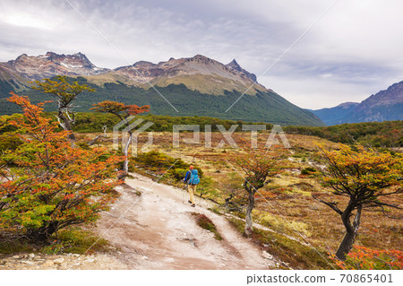 Autumn in Patagonia 70865401