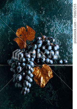 Blue grapes with dried up vine leaves on an old dark blue background. Blue grapes with dried up vine leaves on an old dark blue background. 70867255
